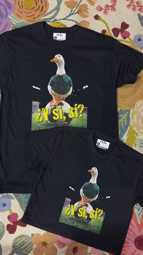Pato Y Si Sí?