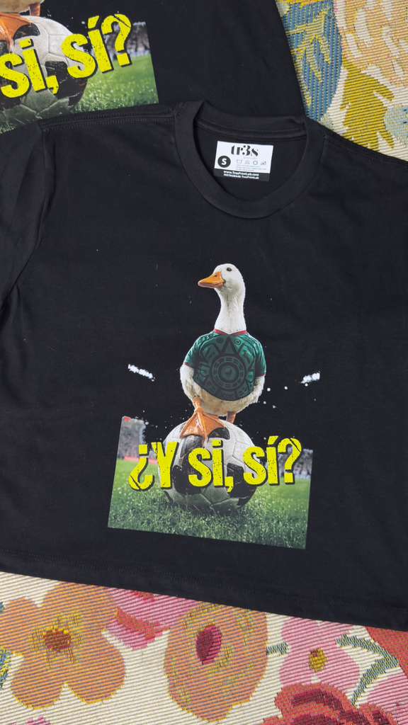 Pato Y Si Sí?